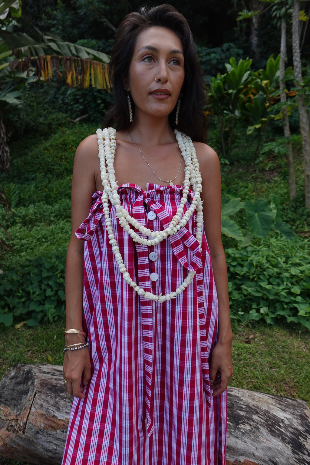 Isabella Maxi Dress in Wine