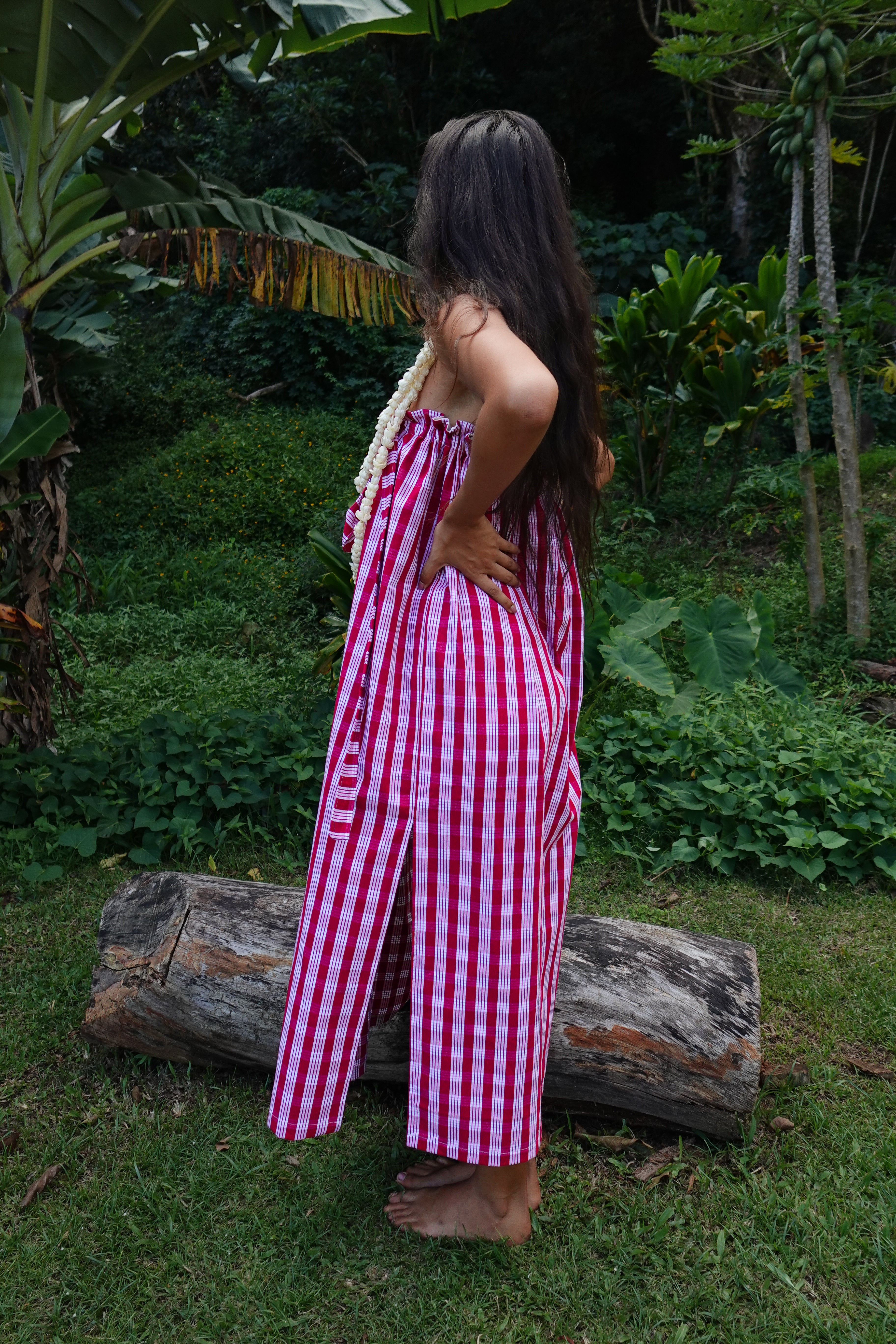 Isabella Maxi Dress in Wine