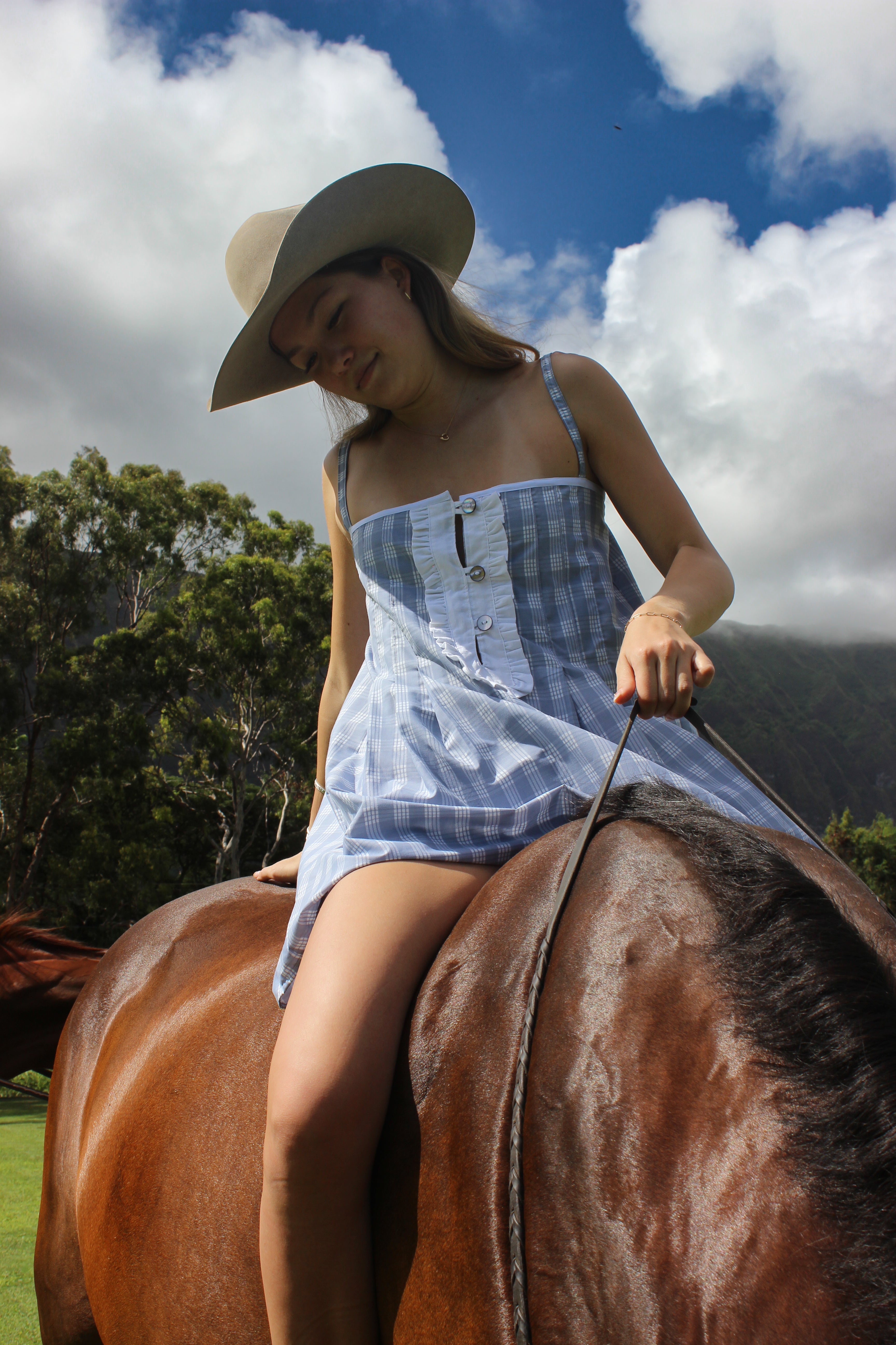 Blue Palaka Ruffle Dress
